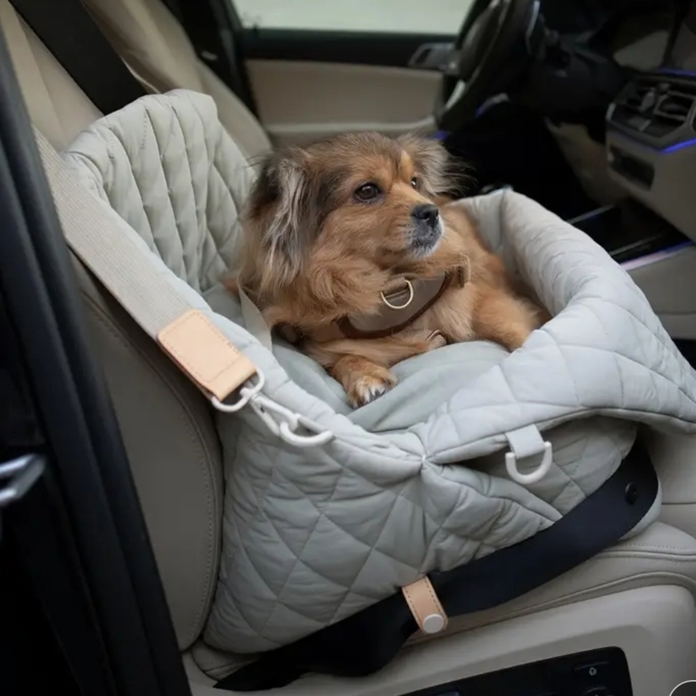 Gray Dog Carrier with Compact Design for Travel